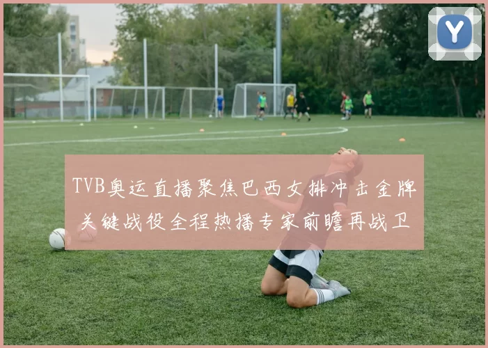 TVB奥运直播聚焦巴西女排冲击金牌 关键战役全程热播专家前瞻再战卫冕