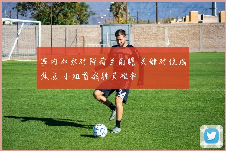 塞内加尔对阵荷兰前瞻 关键对位成焦点 小组首战胜负难料