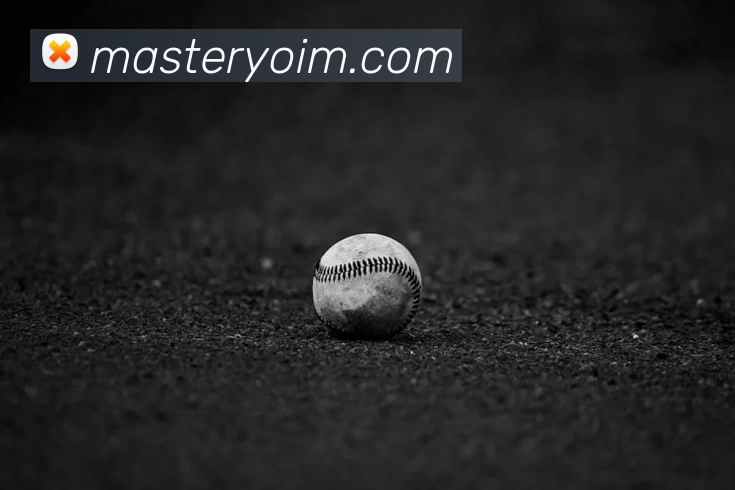 米兰在线登录入口网址APP 封面图